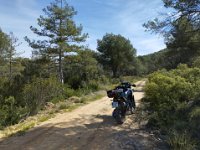 Imatge de WhatsApp 2024-05-04 a les 13.19.09 fabe2117